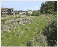  2025Ÿ��7925 ���� ���ֽ� �ֿ��� �����ϸ� 2099      ����(��1)���