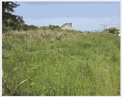  2025Ÿ��7925 ���� ���ֽ� �ֿ��� �����ϸ� 2099      ����(��1)���