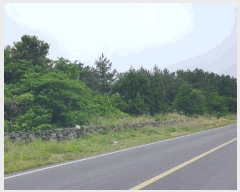  2025Ÿ7974  ֽ  ȭ 3597      (Ӿ)