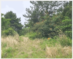  2025Ÿ7974  ֽ  ȭ 3597      (Ӿ)