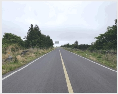  2025Ÿ7974  ֽ  ȭ 3597      (Ӿ)