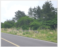  2025Ÿ7974  ֽ  ȭ 3597      (Ӿ)