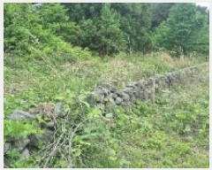  2025Ÿ7974  ֽ  ȭ 3597      (Ӿ)