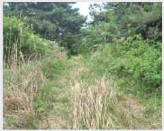  2025Ÿ7974  ֽ  ȭ 3597      (Ӿ)