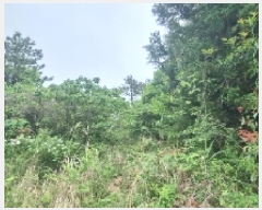  2025Ÿ7974  ֽ  ȭ 3597      (Ӿ)