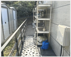  2025Ÿ��8033  ���ð��