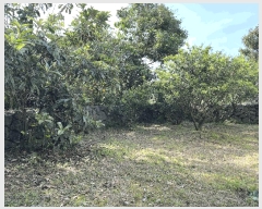  2025Ÿ��8033  ���ð��