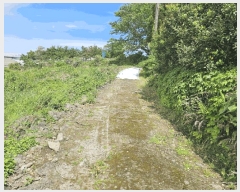  2025Ÿ��8037  ���������