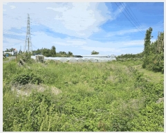  2025Ÿ��8037  ���������