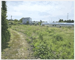  2025Ÿ��8037  ���������