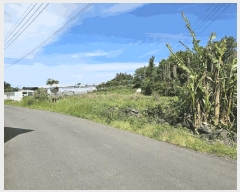  2025Ÿ��8037  ���������