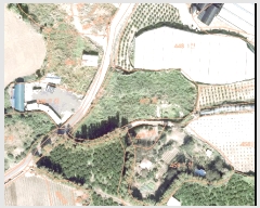  2025Ÿ��8037  ���������