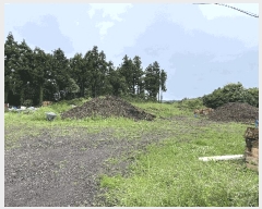  2025Ÿ8042   ȫ 2442-22       (1)