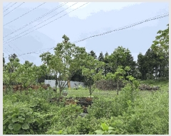  2025Ÿ8042   ȫ 2442-22       (1)