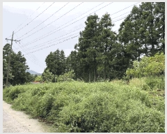  2025Ÿ8042   ȫ 2442-22       (1)