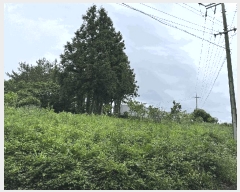  2025Ÿ8042   ȫ 2442-22       (1)