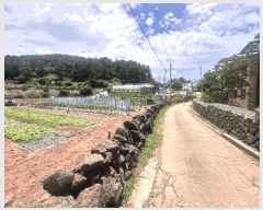  2025Ÿ��8062  �����