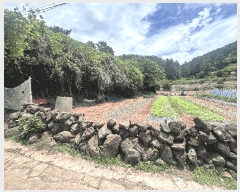  2025Ÿ��8062  �����