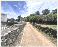  2025Ÿ��8062  �����