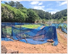  2025Ÿ��8062  �����