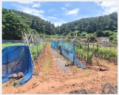  2025Ÿ��8062  �����