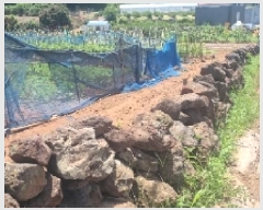  2025Ÿ��8062  �����