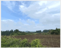  2025Ÿ��8096 ���� �������� �ȴ��� ��õ�� ��99-14      ����(�Ӿ�)���