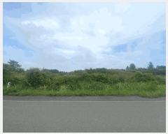  2025Ÿ��8096 ���� �������� �ȴ��� ��õ�� ��99-14      ����(�Ӿ�)���