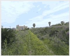  2025Ÿ��8118 ���� ���ֽ� �ֿ��� �ϱ�2�� 1960-6      ����(��1)���