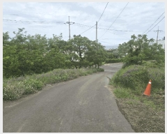  2025Ÿ��8118 ���� ���ֽ� �ֿ��� �ϱ�2�� 1960-6      ����(��1)���