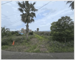  2025Ÿ��8118 ���� ���ֽ� �ֿ��� �ϱ�2�� 1960-6      ����(��1)���