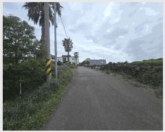  2025Ÿ��8118 ���� ���ֽ� �ֿ��� �ϱ�2�� 1960-6      ����(��1)���