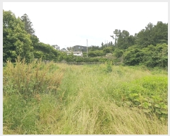  2025Ÿ8125   Ͽ 1060-6       ()