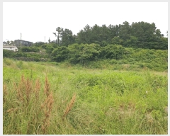  2025Ÿ8125   Ͽ 1060-6       ()