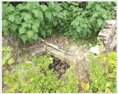  2025Ÿ8125   Ͽ 1060-6       ()