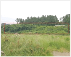  2025Ÿ8125   Ͽ 1060-6       ()