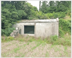  2025Ÿ8125   Ͽ 1060-6       ()