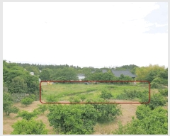  2025Ÿ8125   Ͽ 1060-6       ()