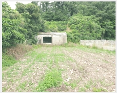  2025Ÿ8125   Ͽ 1060-6       ()