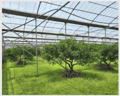  2025Ÿ8143    1985-2       ()