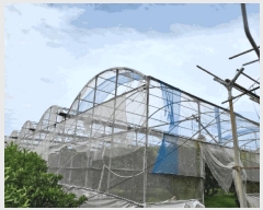  2025Ÿ8143    1985-2       ()