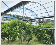  2025Ÿ8143    1985-2       ()