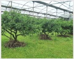  2025Ÿ8143    1985-2       ()