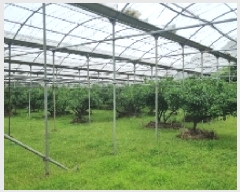  2025Ÿ8143    1985-2       ()