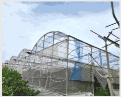  2025Ÿ8143    1985-2       ()