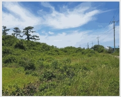  2025Ÿ��8152  �����