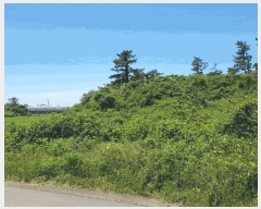  2025Ÿ��8152  �����