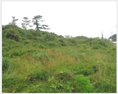  2025Ÿ��8152  �����