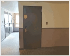  2025Ÿ��8155  �ܵ�(ȣ��)���