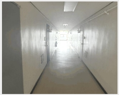  2025Ÿ8161  ֽ ﵵ̵ 913-5 Ÿ 4505ȣ     ǽڰ